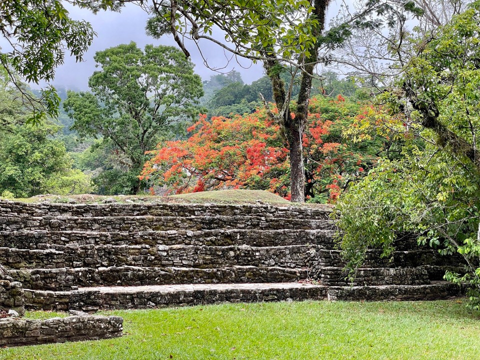 Mexiko - Palenque - 