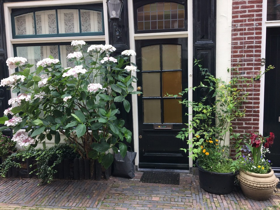 Niederlande - Haarlem - 