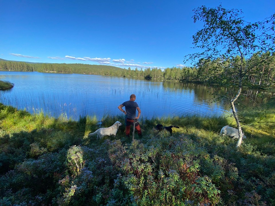 Norwegen - Gransherad - 