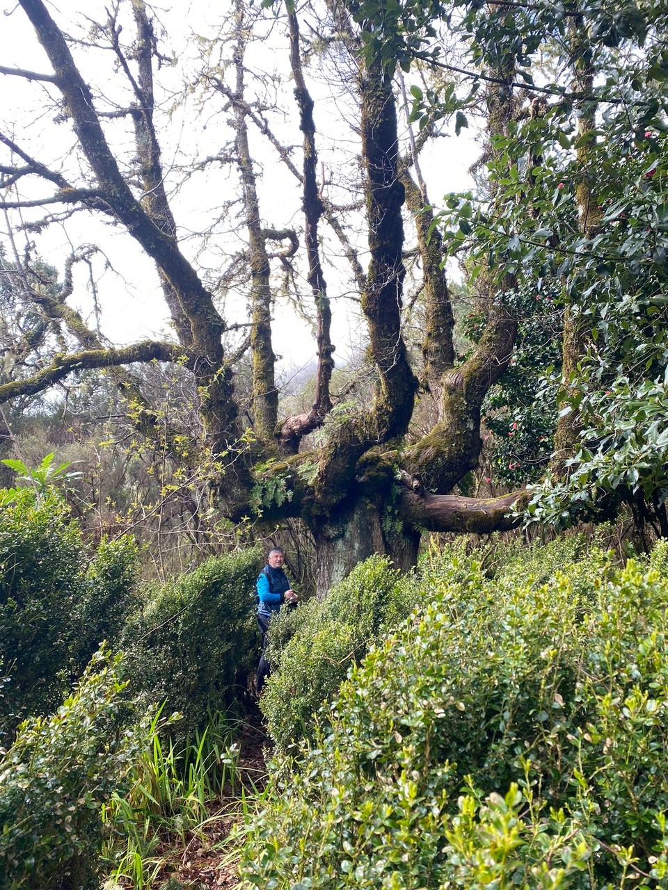 Portugal - Ribeira Brava - Auch hier kann man cachen 