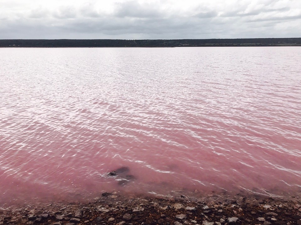  - Australia, Geraldton - Came across this pink lake just before Port Gregory.. was massive!