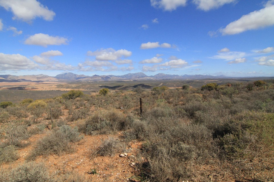 Südafrika - Oudtshoorn - Little Karoo