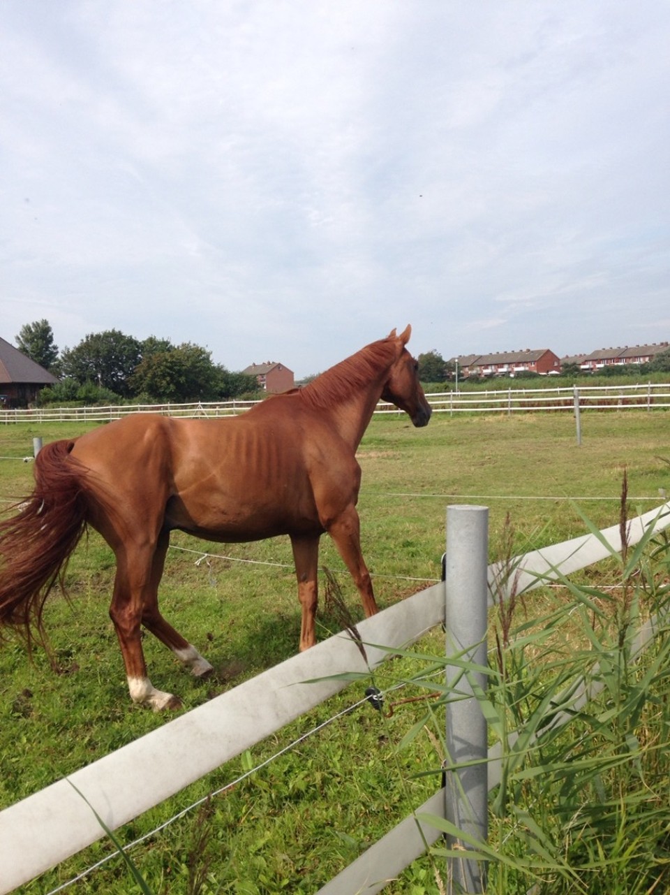 Deutschland - Borkum - 