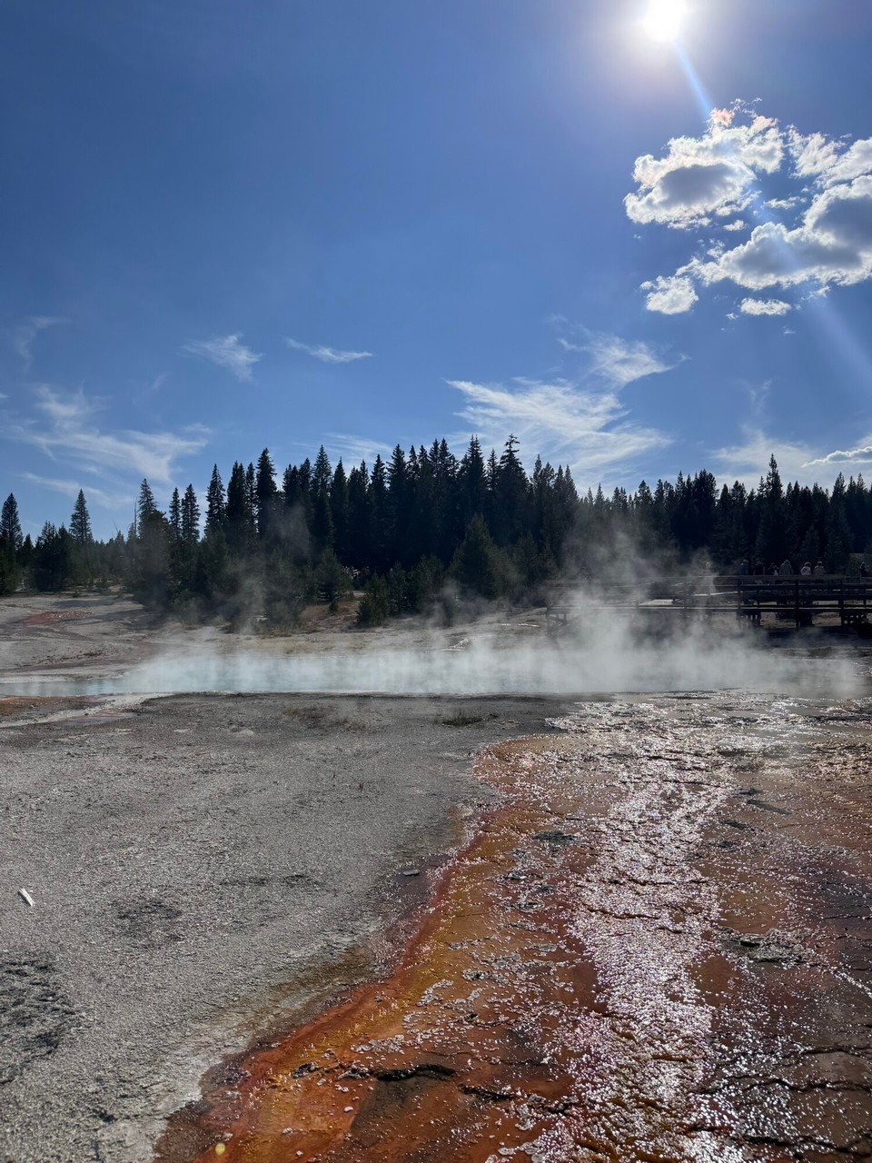 Vereinigte Staaten - Yellowstone National Park - 