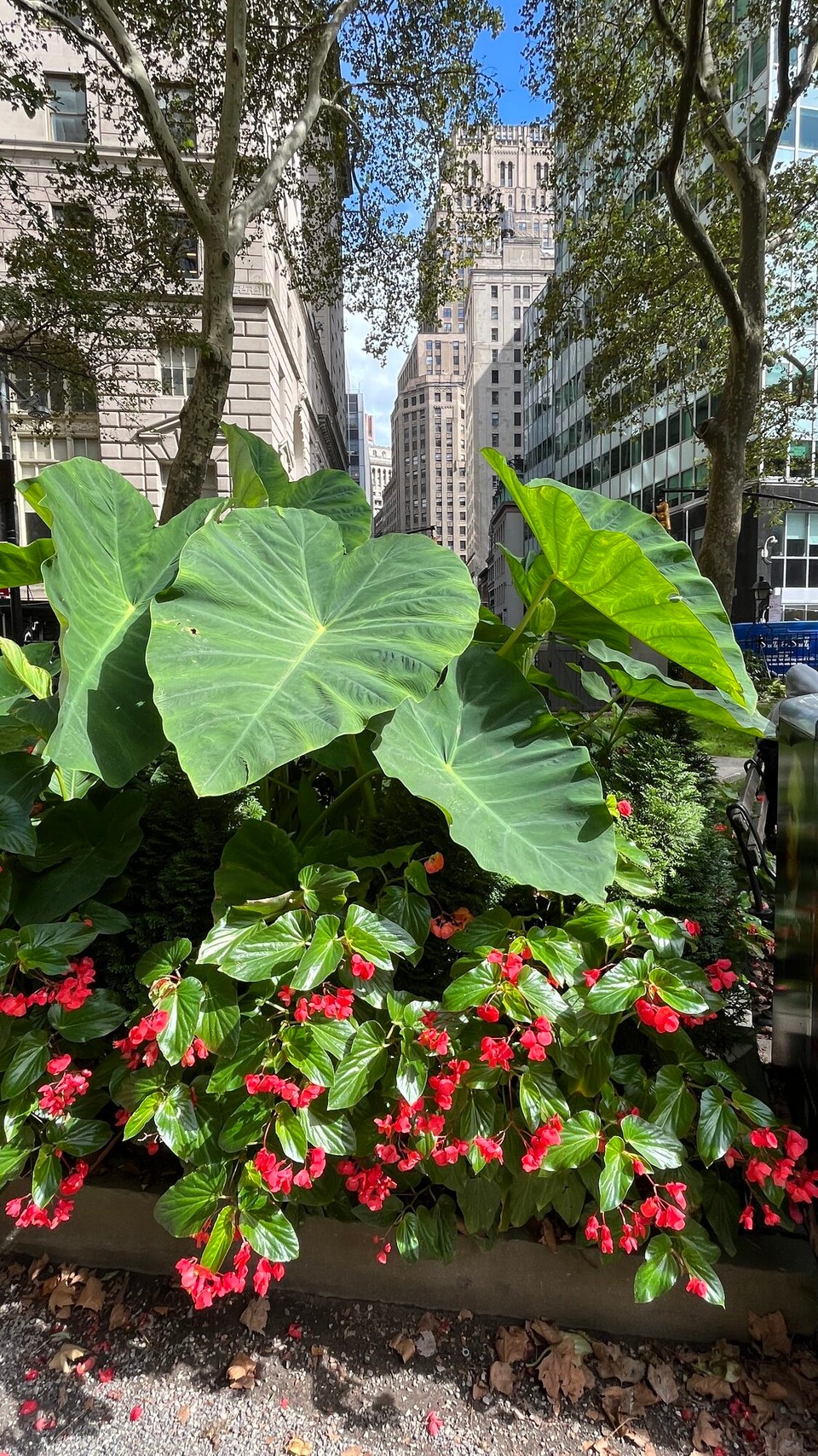 Vereinigte Staaten - New York - 