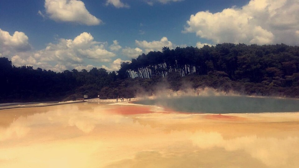 New Zealand - Waiotapu - 