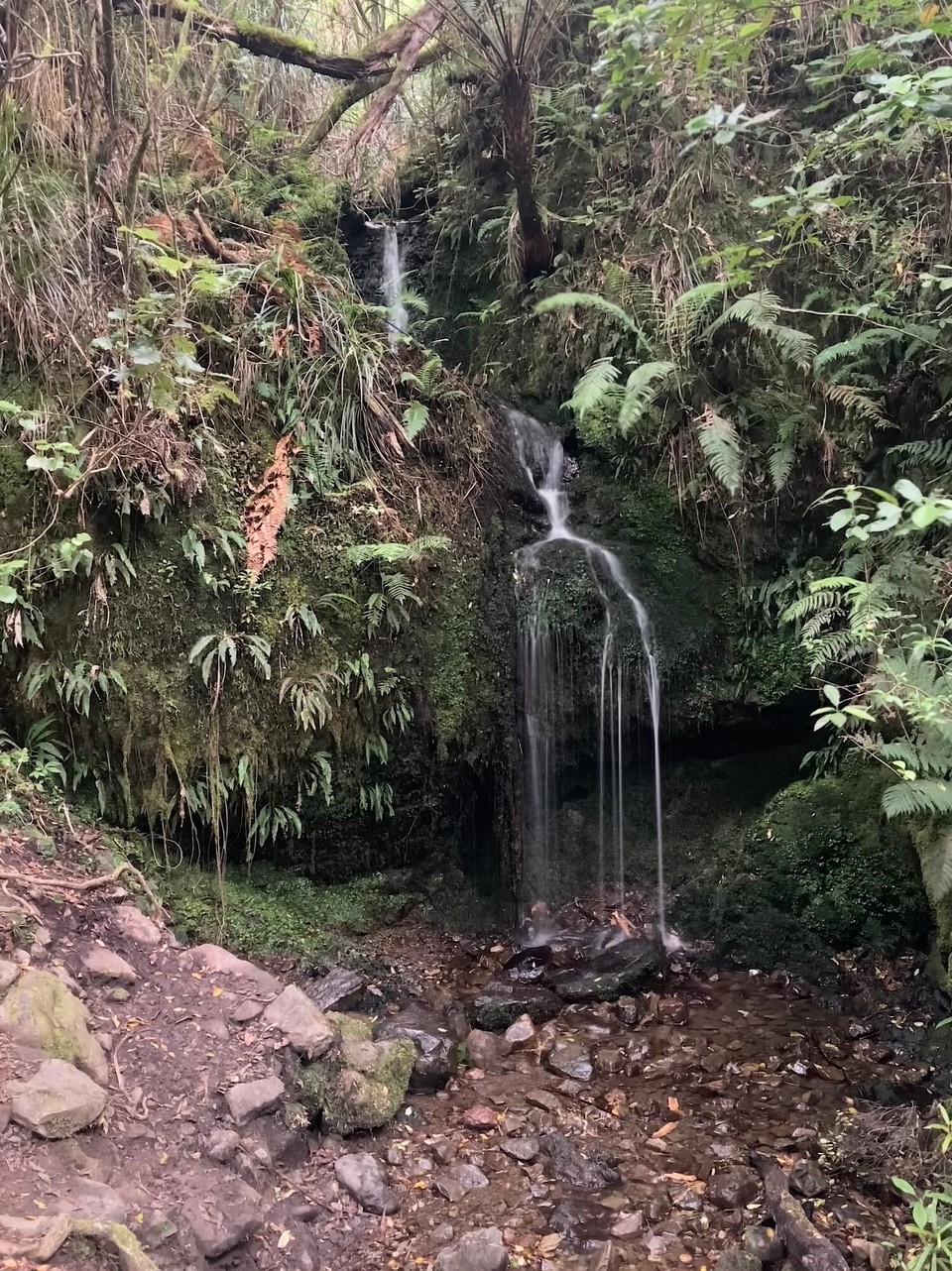 Neuseeland - Upper Hutt - Ziemlich wenig Wasser was da tröpfelt 🙈