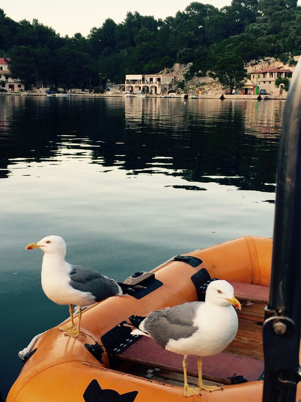 Kroatien - Okuklje - Die Oh Mama bin baden bekommt Besuch