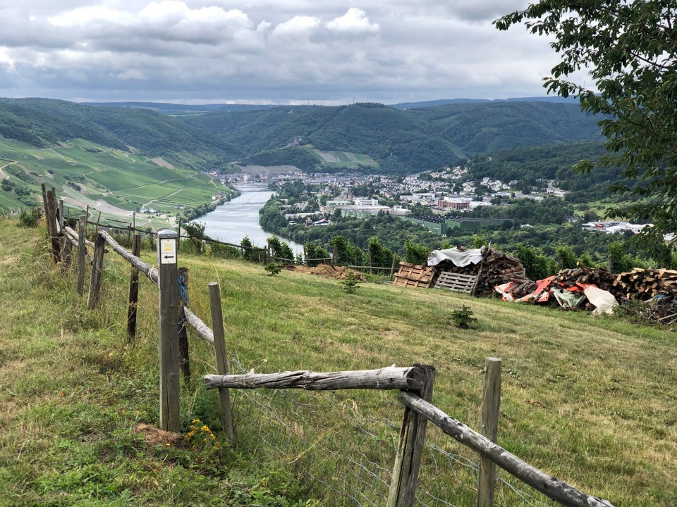 Deutschland - Ürzig - Blick zurück