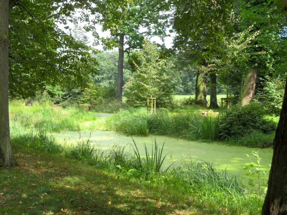 Polen - Moschen - 