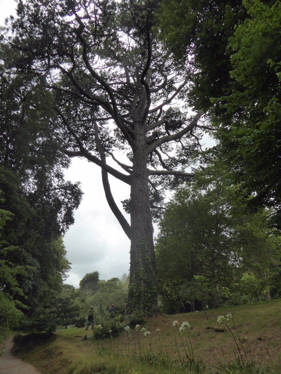 United Kingdom - Falmouth - 