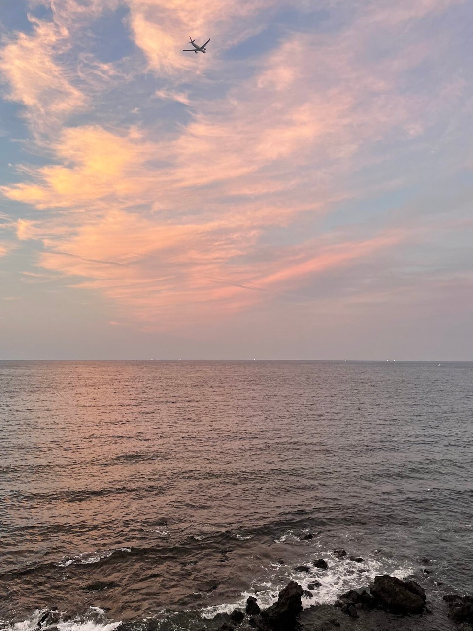 대한민국 - 제주시 - 