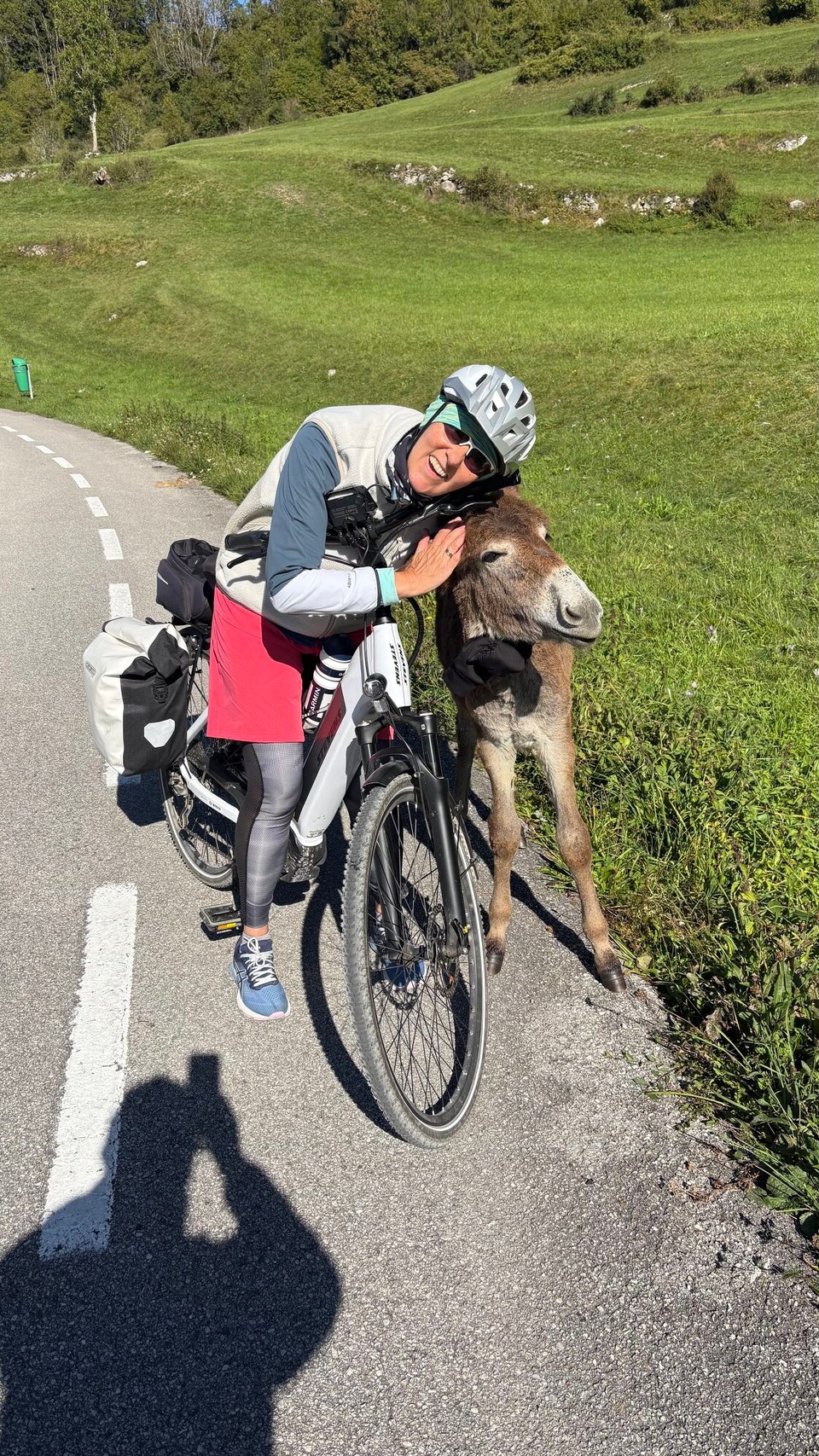 Italien - Belluno - Ah er braucht Kuscheleinheiten 