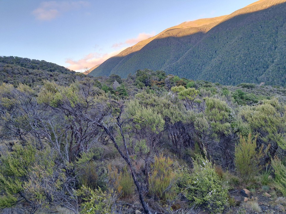 Neuseeland - Saint Arnaud - 
