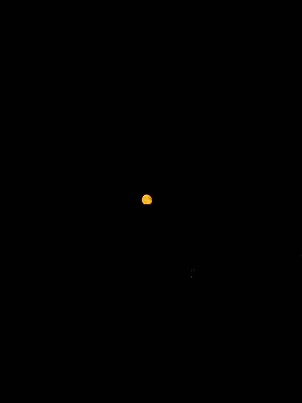 Deutschland - Potsdam - 