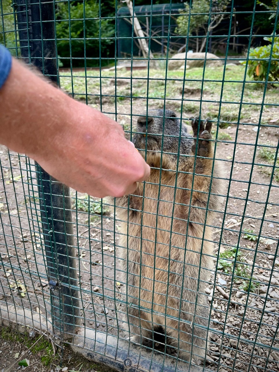 Frankreich - Bagnères-de-Bigorre - 