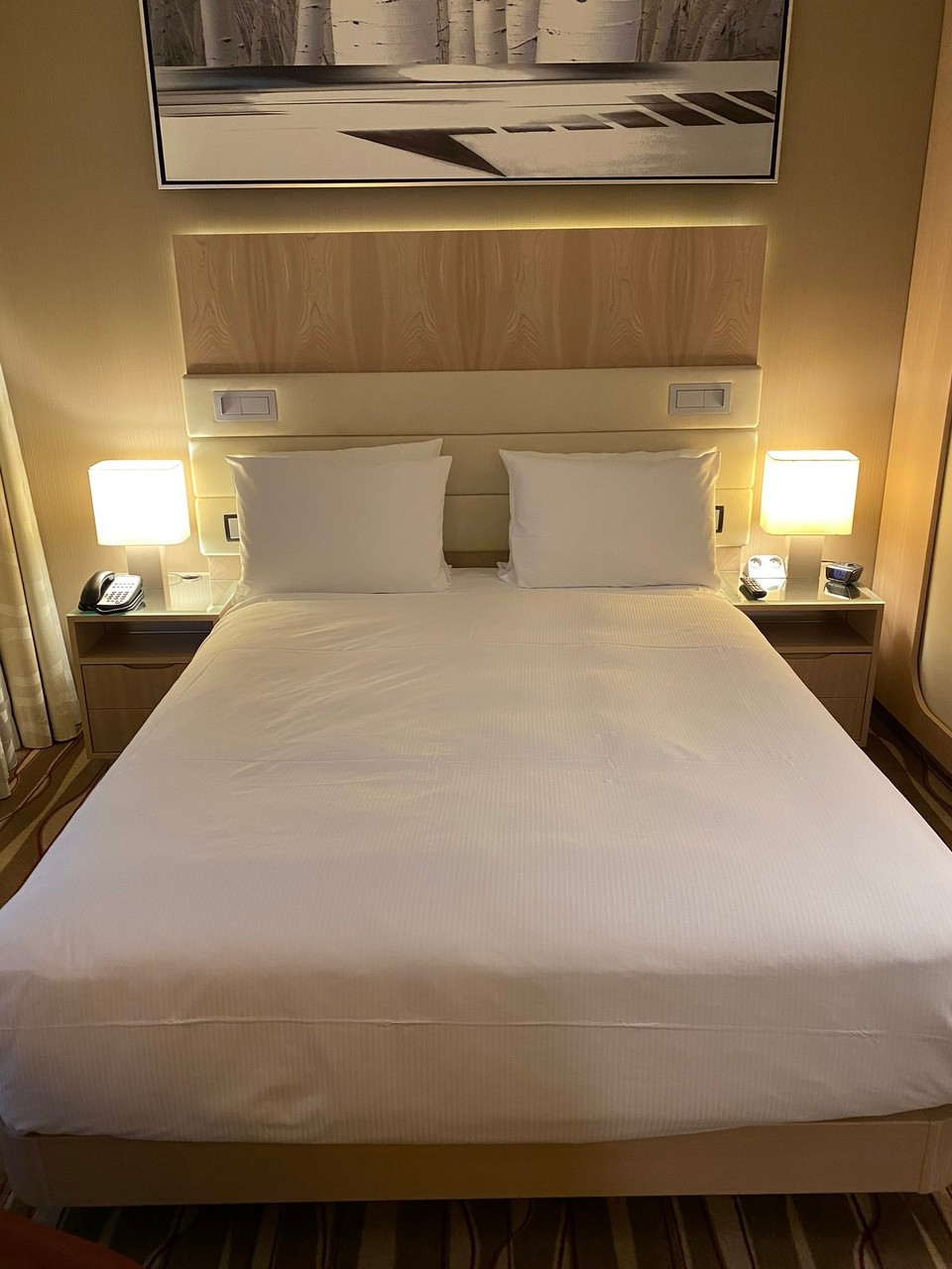 Deutschland - Frankfurt am Main - Unser Zuhause für die 1. Nacht. Diesmal im Hilton. 