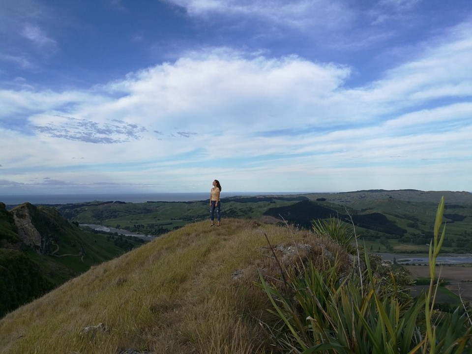 Neuseeland - Napier - 