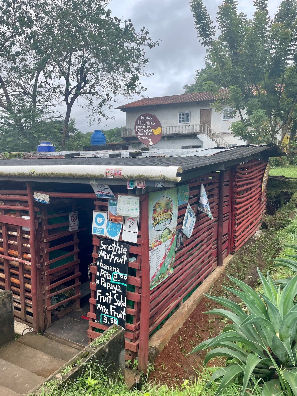 Panama -  - Erstmal eine Fruteria aufsuchen 🤩 