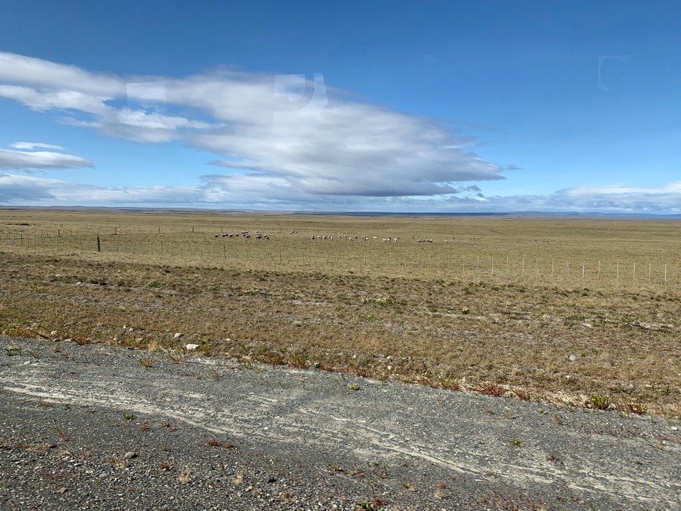 Argentinien - El Calafate - 