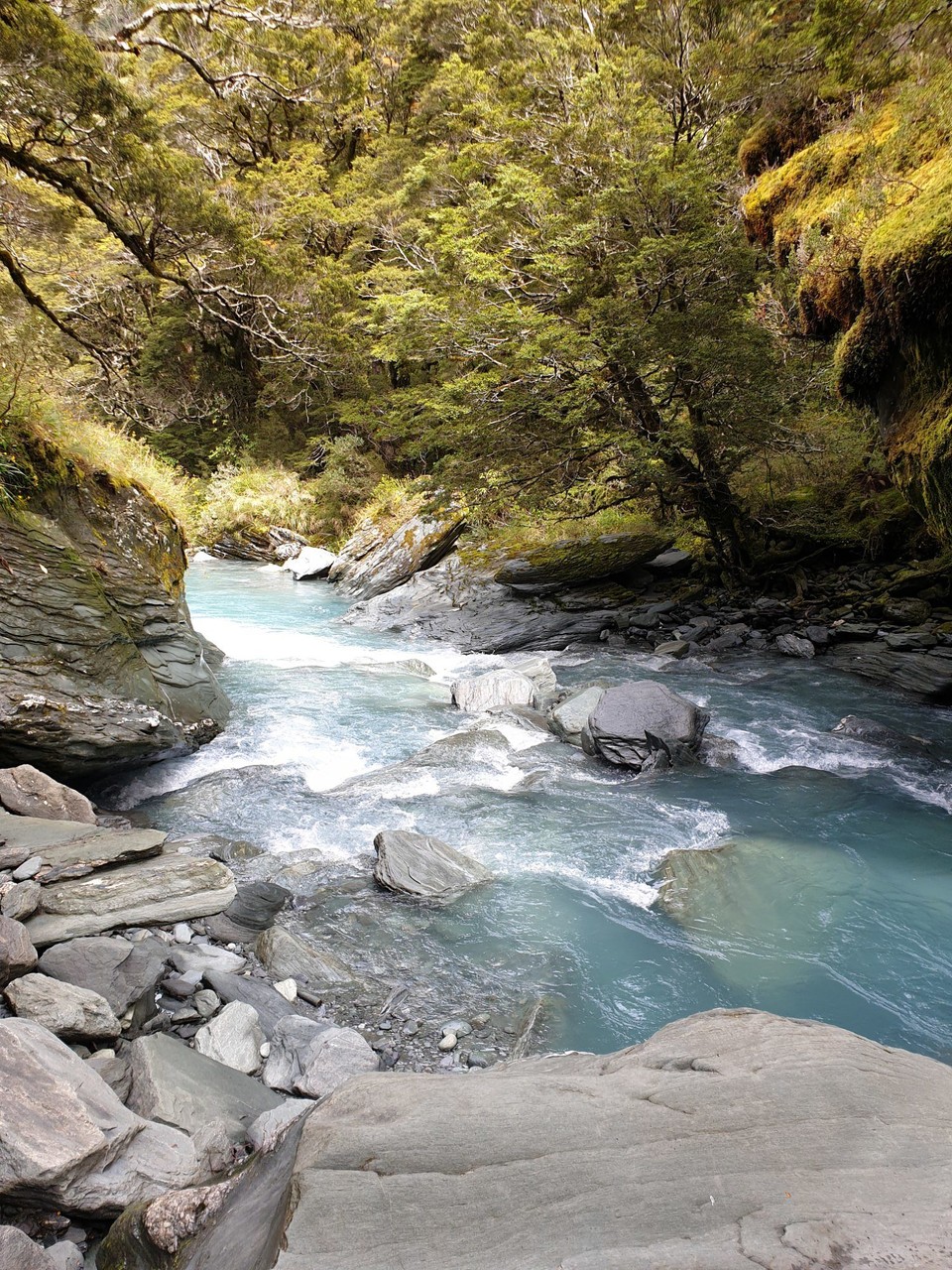 Neuseeland - Wanaka - 