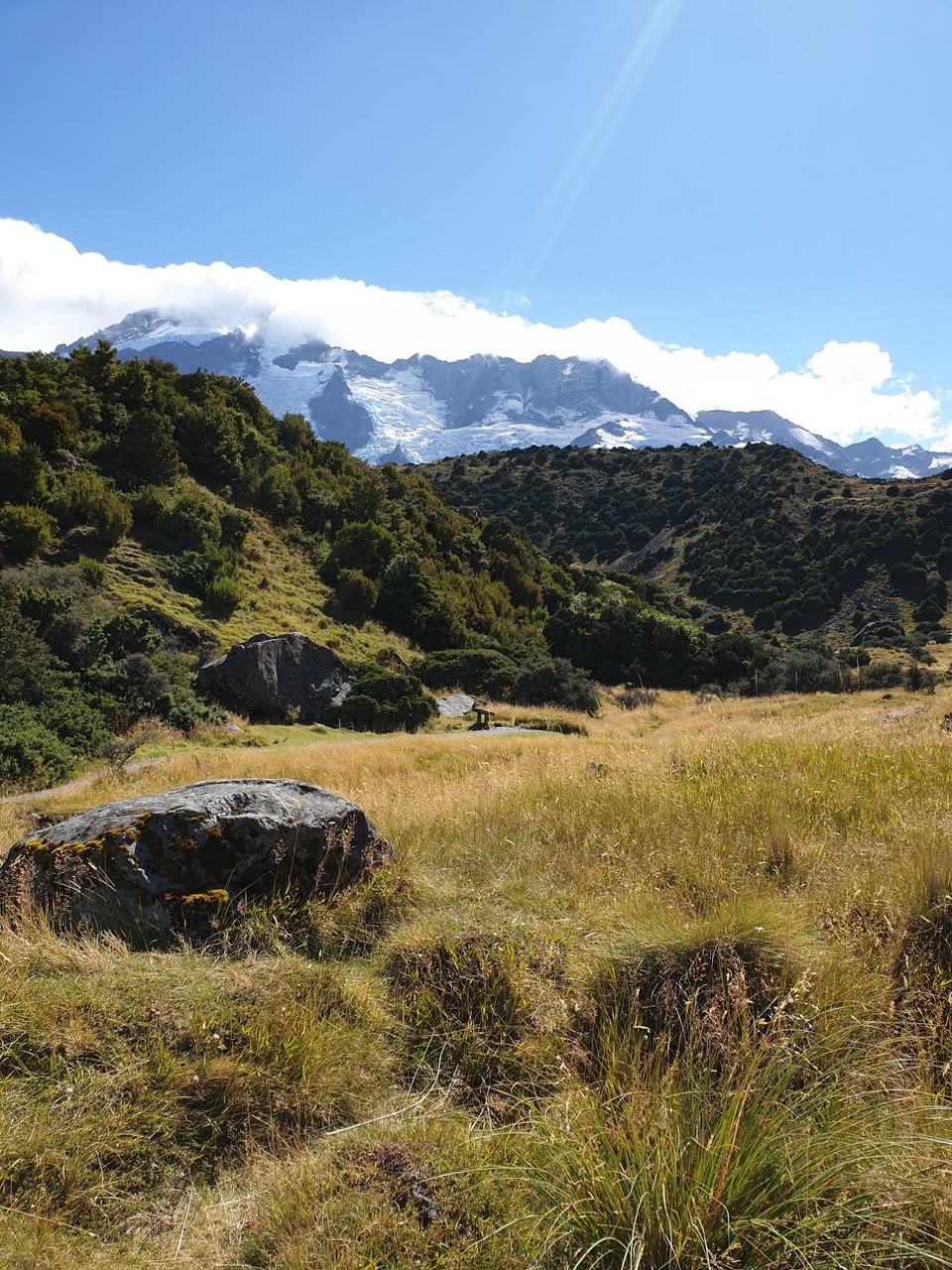 Neuseeland - Aoraki - 