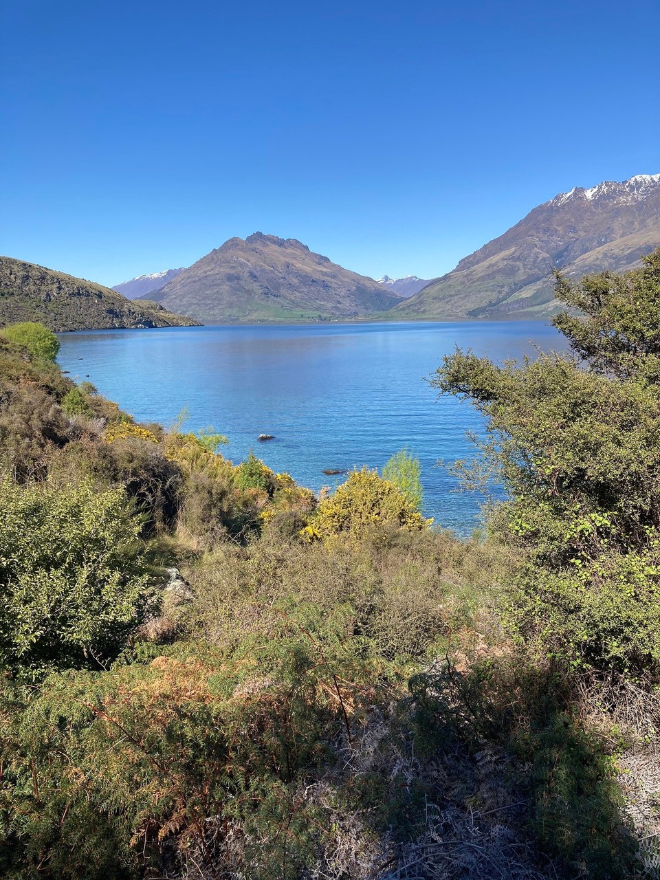 Neuseeland - Queenstown-Wakatipu Ward - 