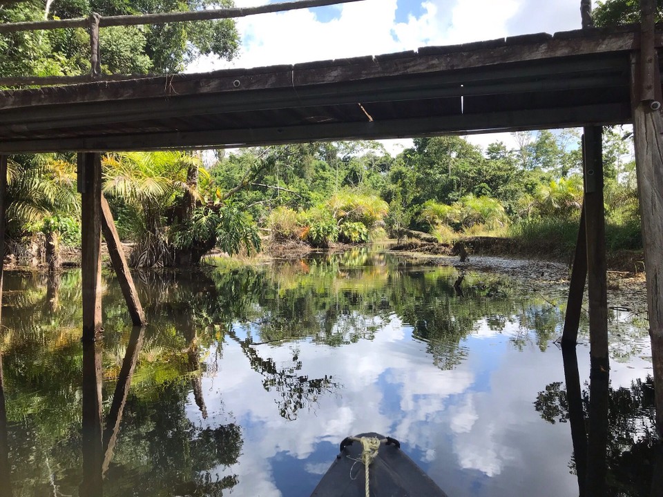 Costa Rica - San Carlos - 