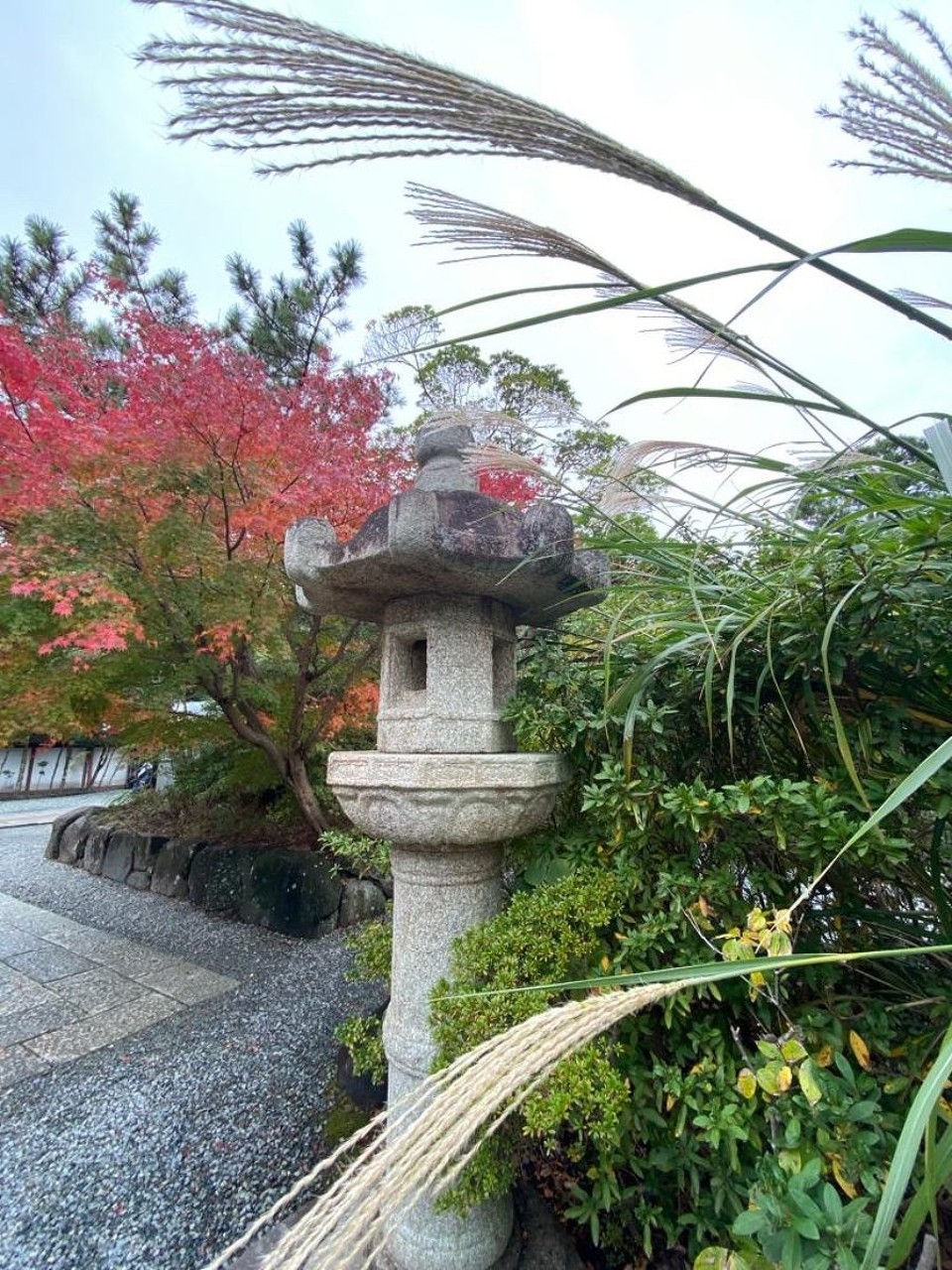 Japan - Numazu - 