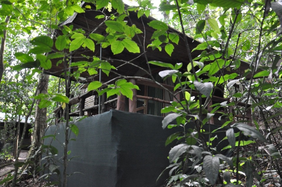 Costa Rica - Sarapiqui - 