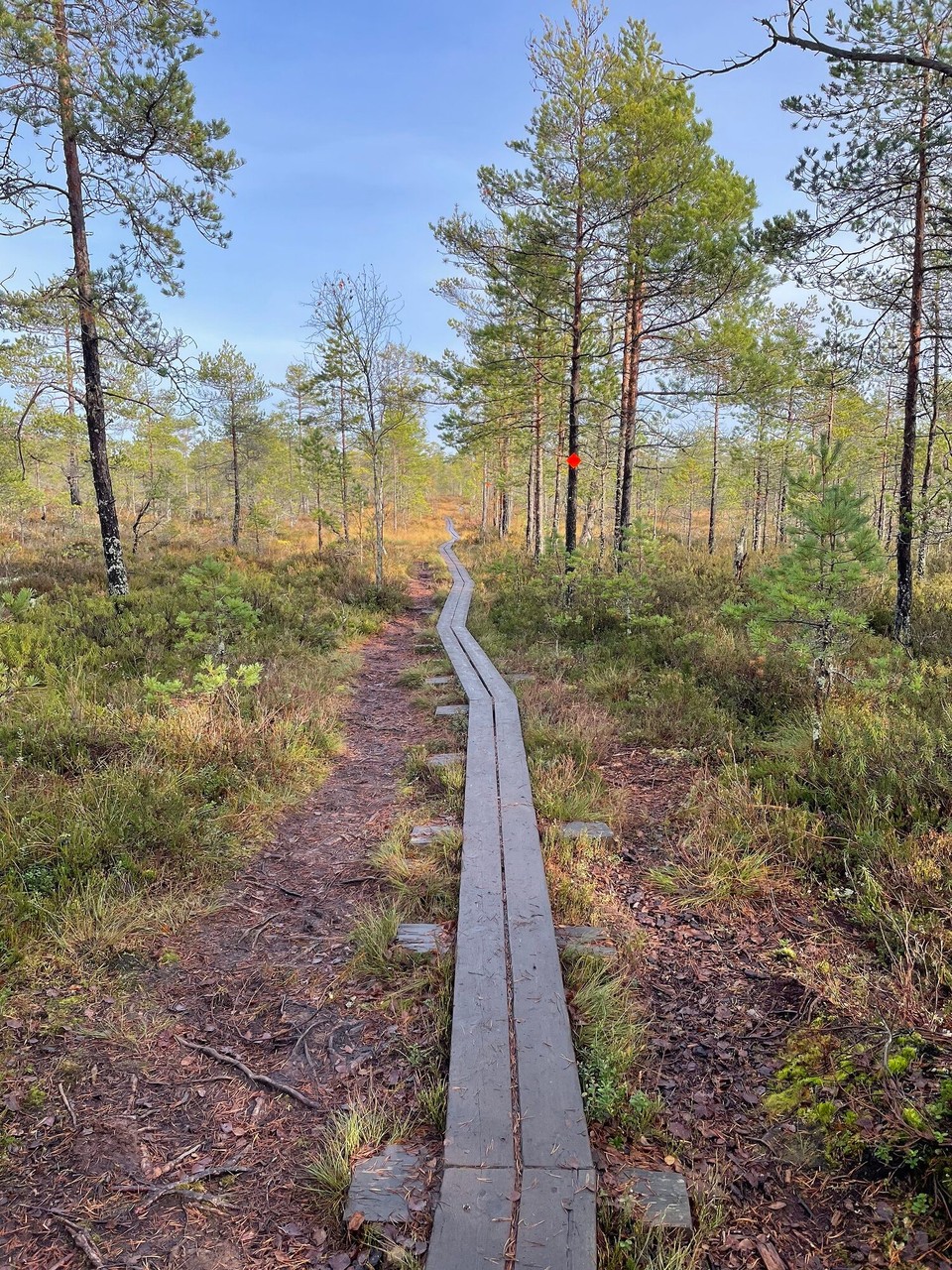 Finnland - Naantali - Unendliche Pfade