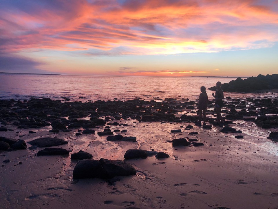 Frankreich - Sanguinet - 
