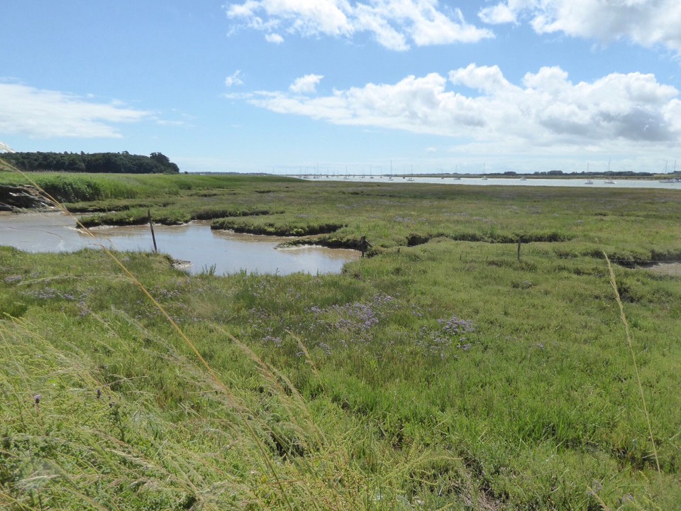 United Kingdom - Woodbridge - 