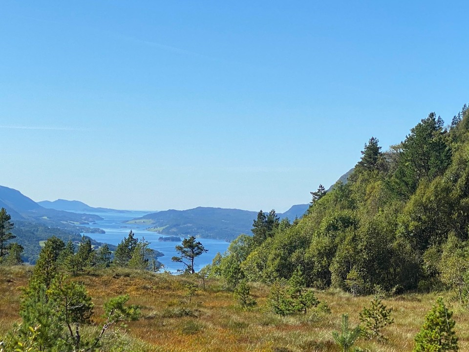 Norwegen - Aure - Mit mega Weitblick vor der Nase. 