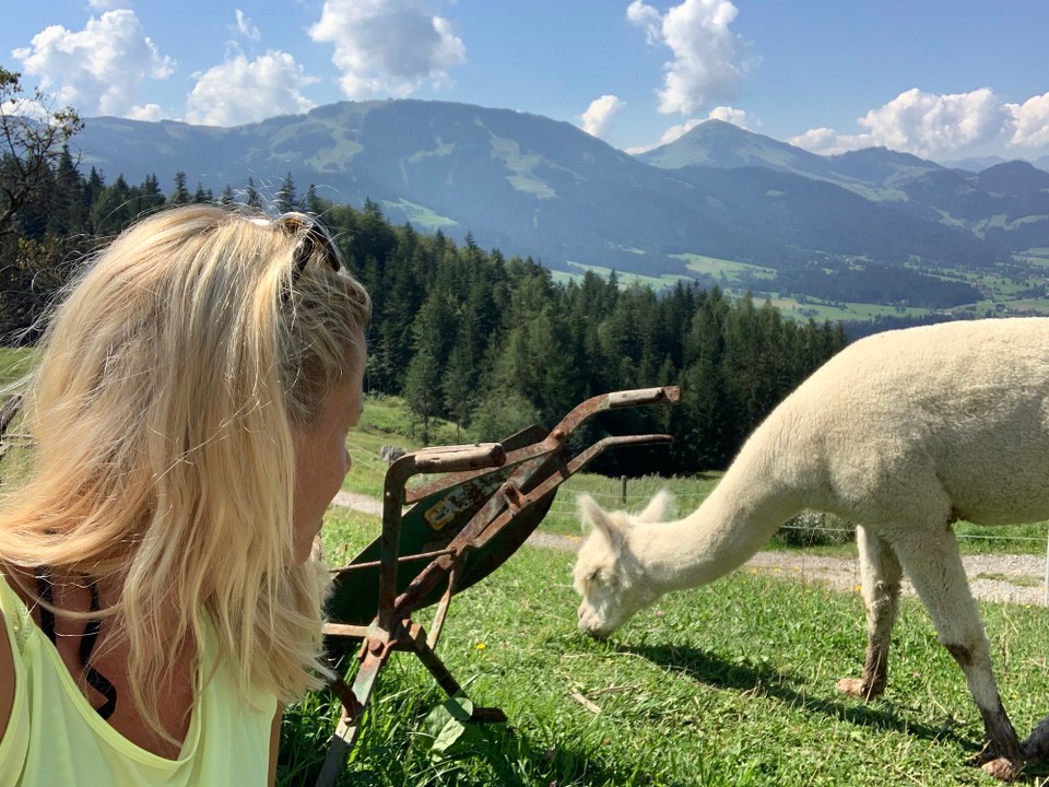 Österreich - Scheffau am Wilden Kaiser - 