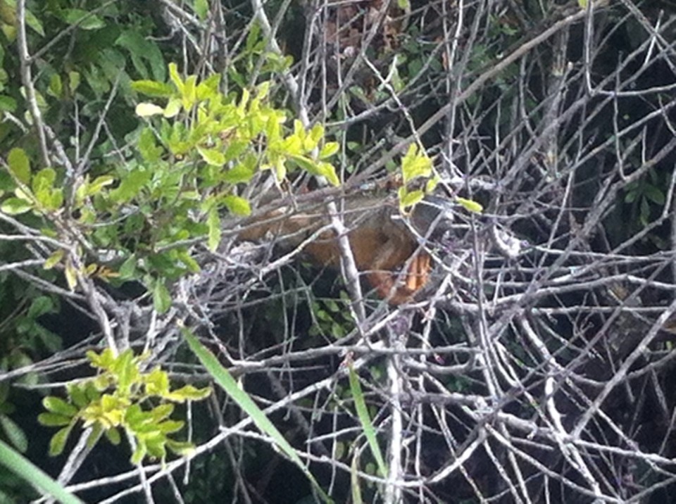 Egyesült Államok - Homestead - 