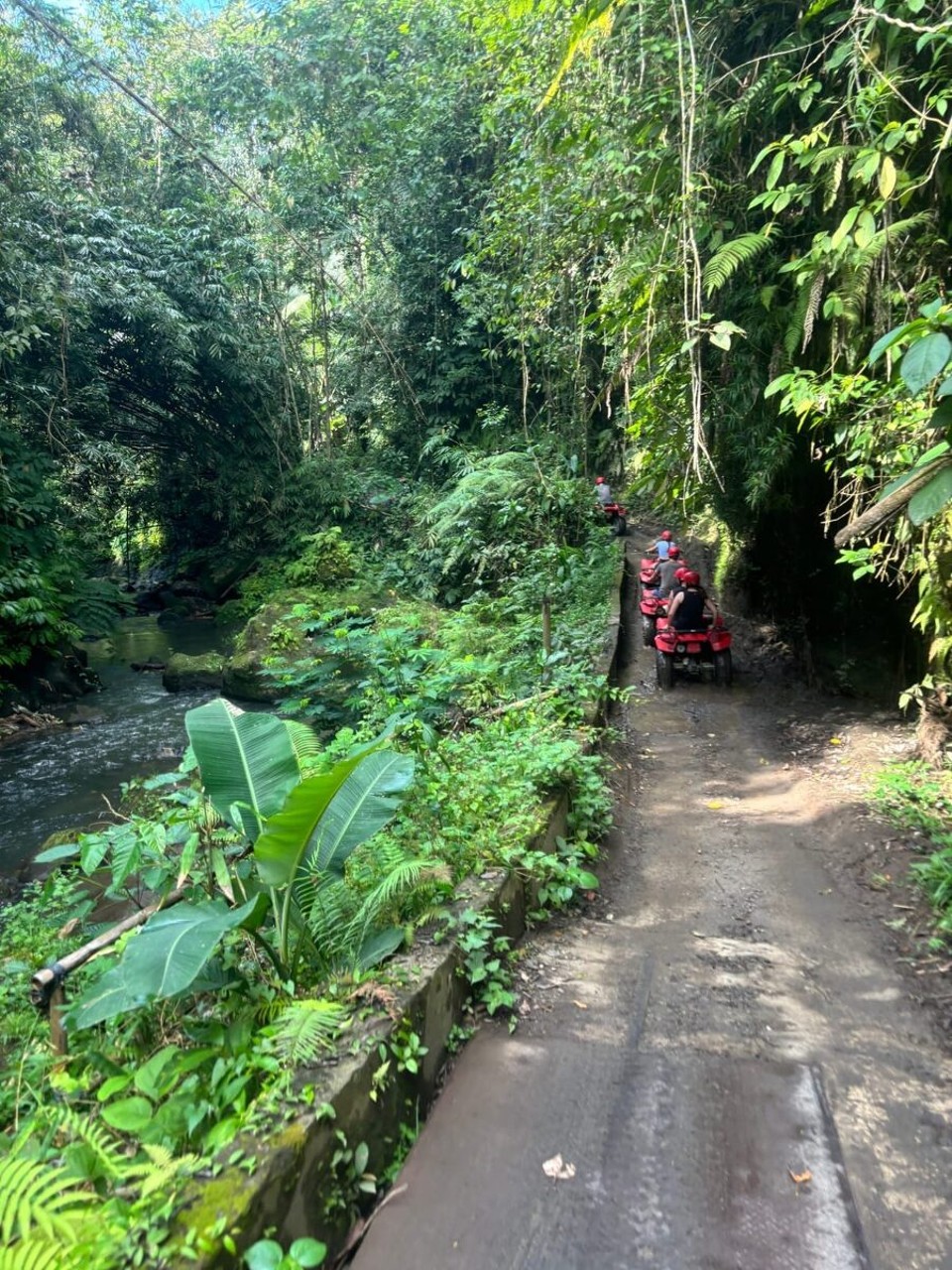 Indonesien - Gianyar - Dr Marc het sich nüma gspürt uf dena teils schmala und steila Wägli. Doch er het de Charra voll unter Kontrolla ka, drum hani hinda druf sichr am meischta Spass ka.😊