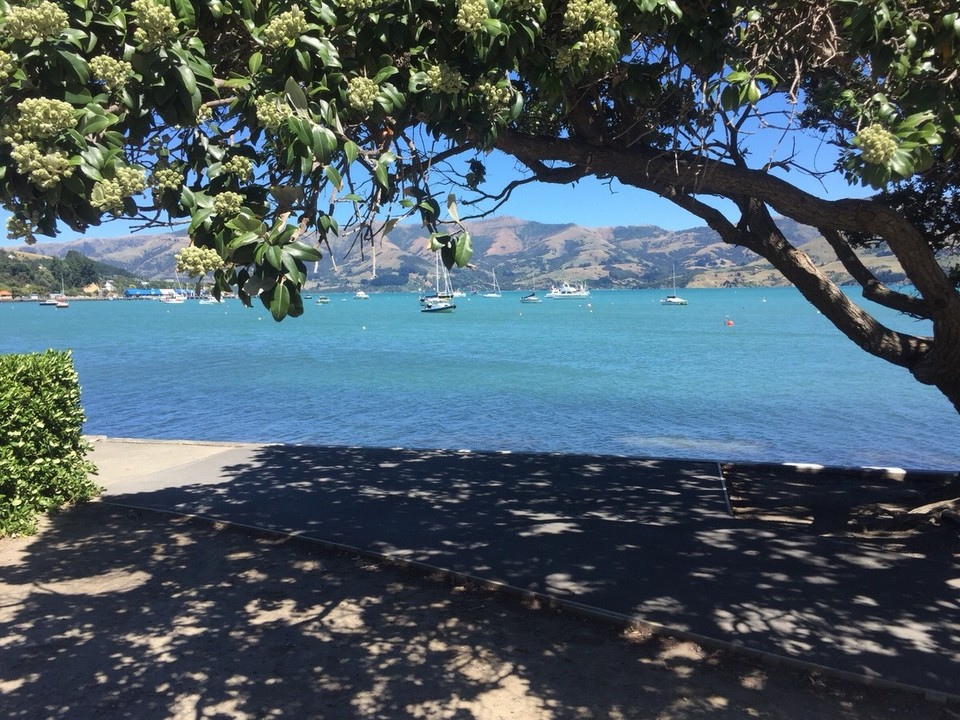 Neuseeland - Akaroa - Der Hafen von Akaroa 