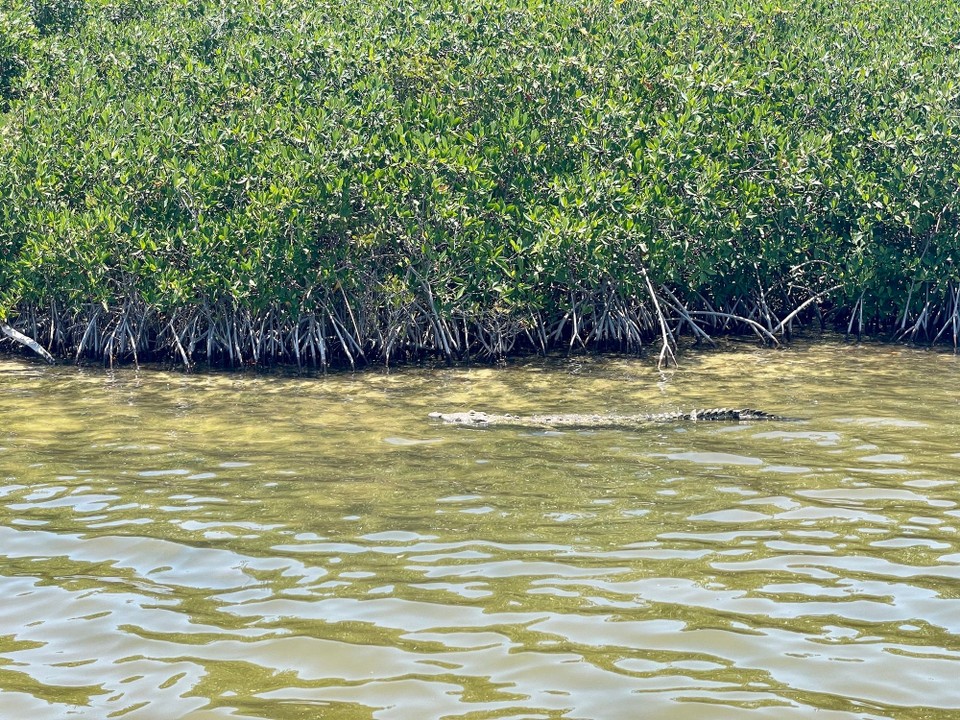 Mexiko - Cozumel - 