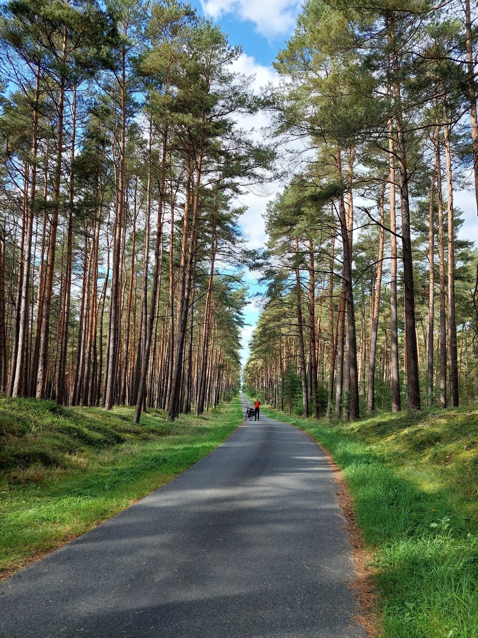 Deutschland - Burgwedel - 