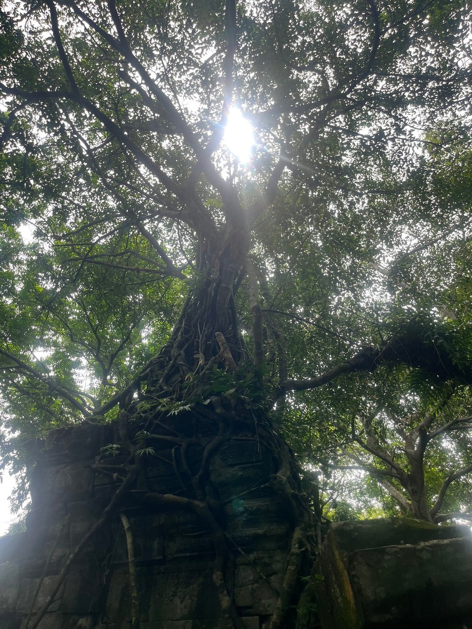 Cambodia - Siem Reap - 