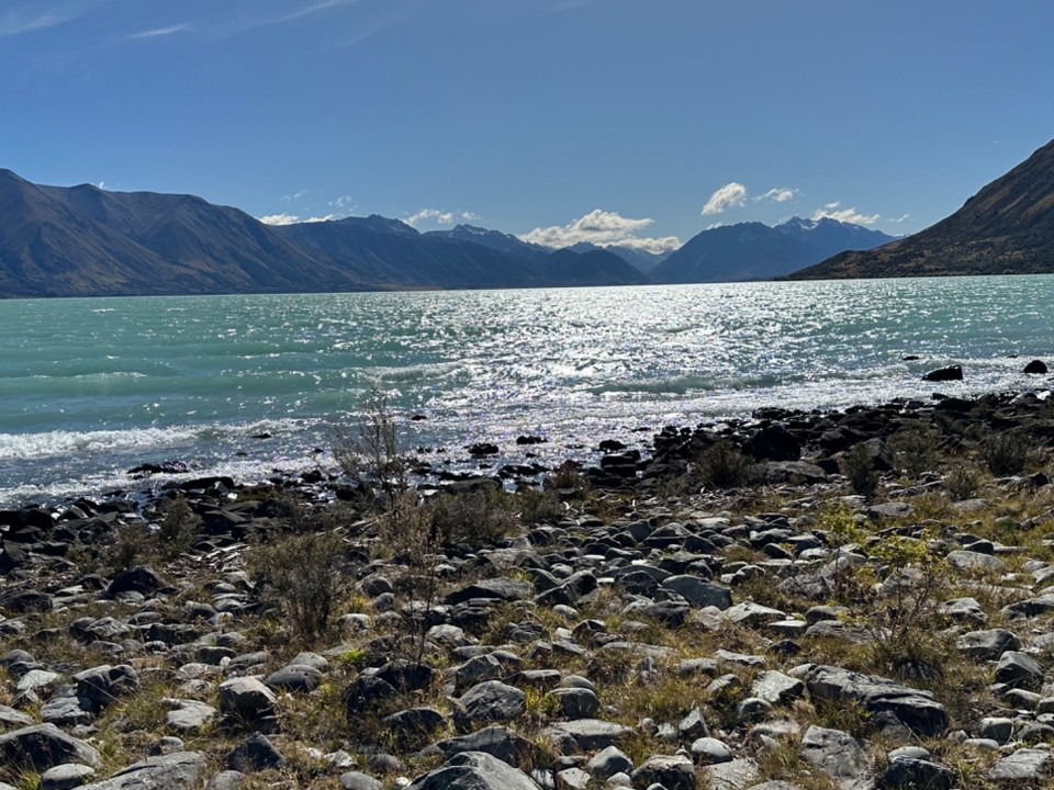 Neuseeland - Twizel - aber dann ein toller Trail entlang des Ohausee durch Busch und kleinen Wald.