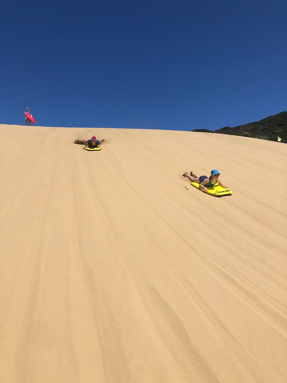 Neuseeland - Opononi - Sandboarden macht sehr viel Spass. Allerdings muss man dafür zuerst hochlaufen.