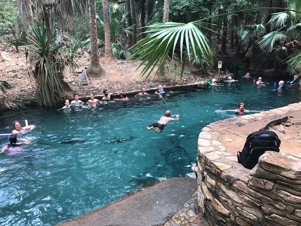 Australia - Mataranka - Mataranka thermal pool