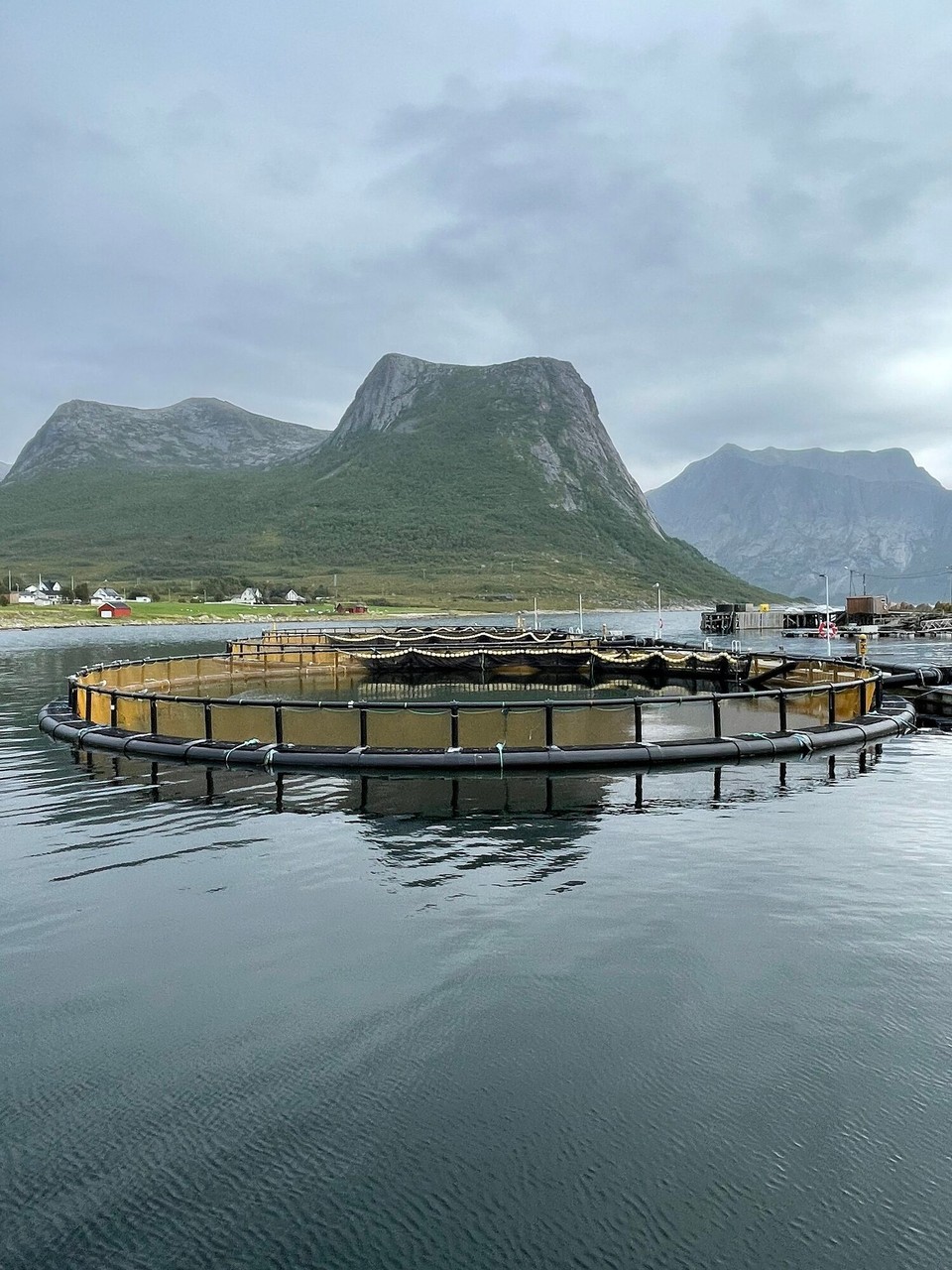 Norwegen - Vangsvik - jede Menge Aquakulturen 