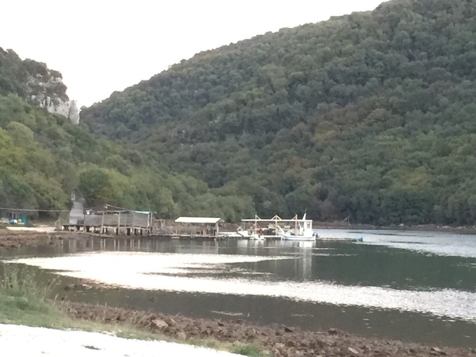 Kroatien - Kanfanar - Fischzucht Austern