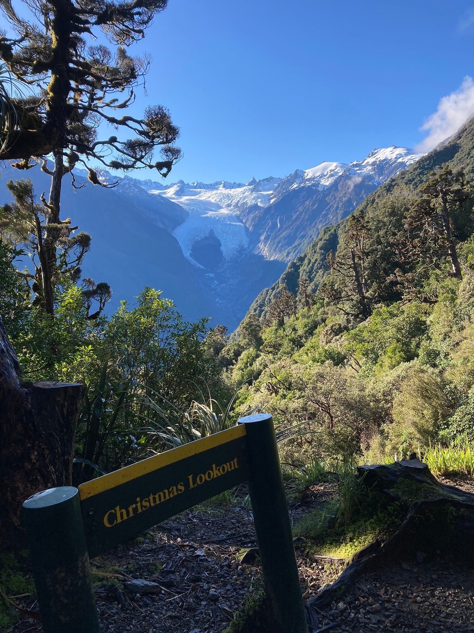Neuseeland - Westland National Park - Mh, Weihnachten ist schon in Sicht, aber entdeckt hab ich es noch nicht 🤔😂