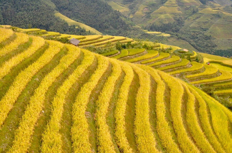 China - Guilin - 