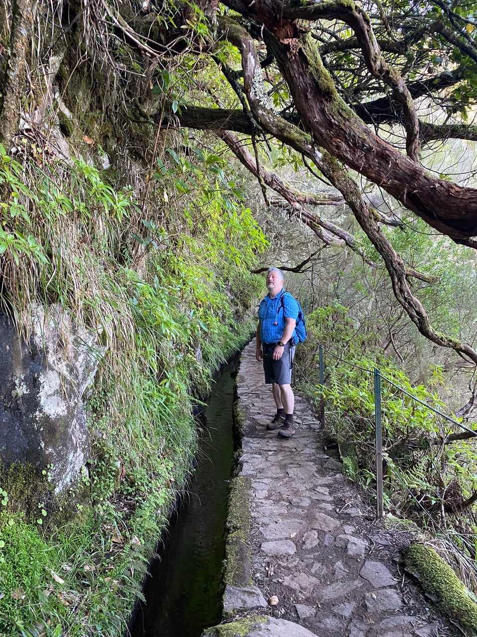  -  - Levada