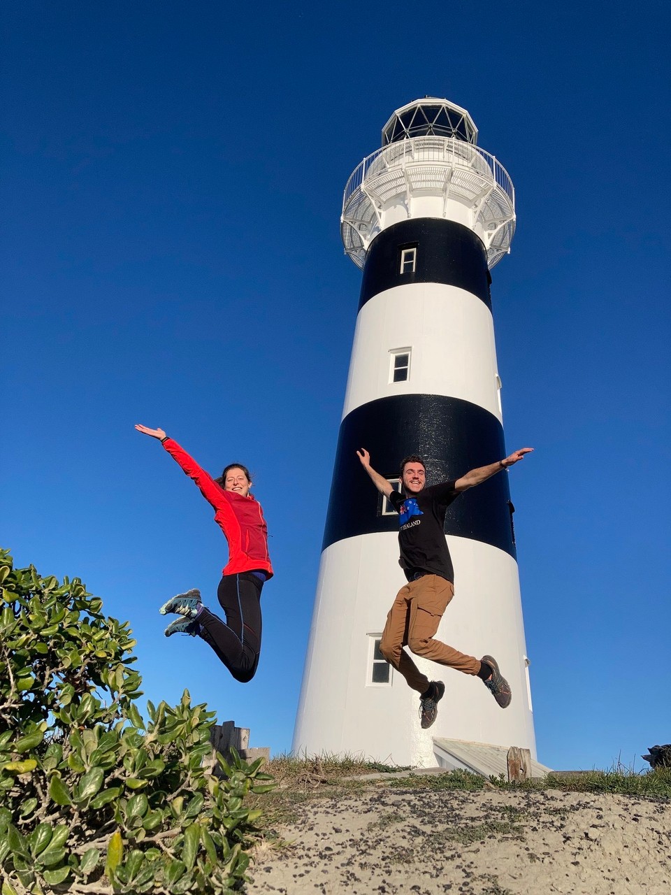 Neuseeland - Seddon - Und Sprung 